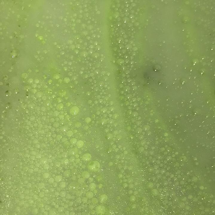 Fluorescent Yellow Green